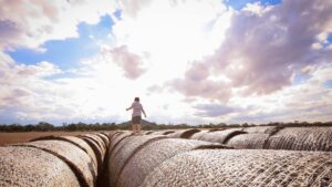 The Rise of Agrarian Lifestyle Living