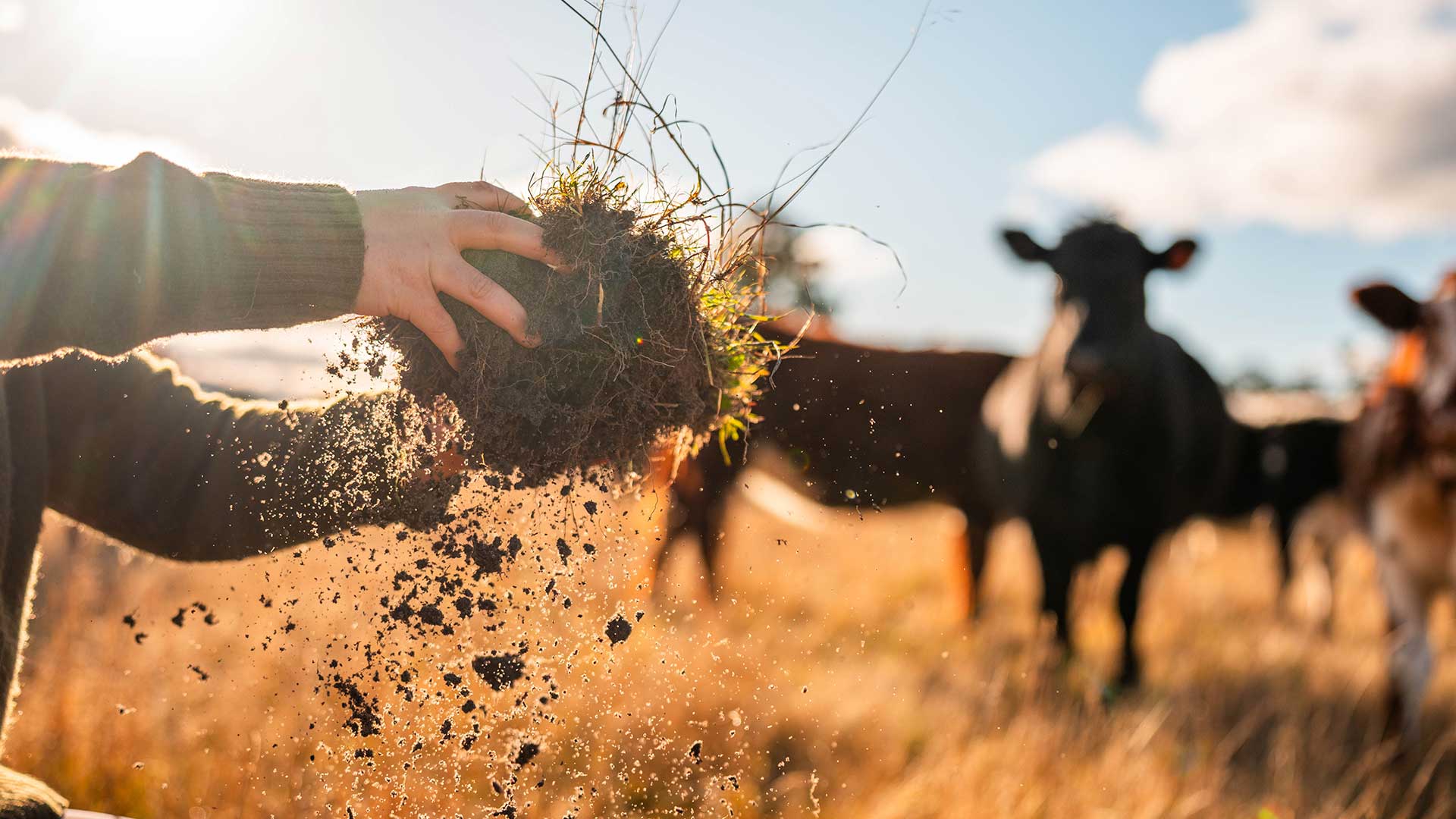 Rural Land as a Hedge Against Inflation