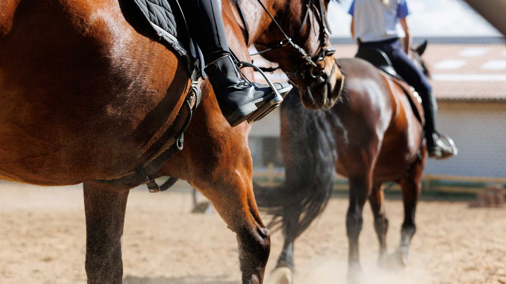 Horse Properties, Pony Clubs, and How Riding Shapes Rural Communities