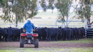 Commodity-Sectoral-Shifts-Livestock-Up-Crop-Challenges