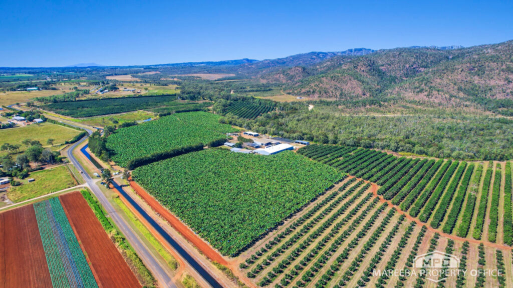 Horticultural Powerhouse